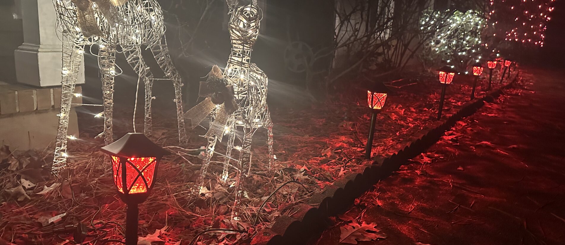 RGB pathway lights lining sidewalk entrance decorated for the Christmas season