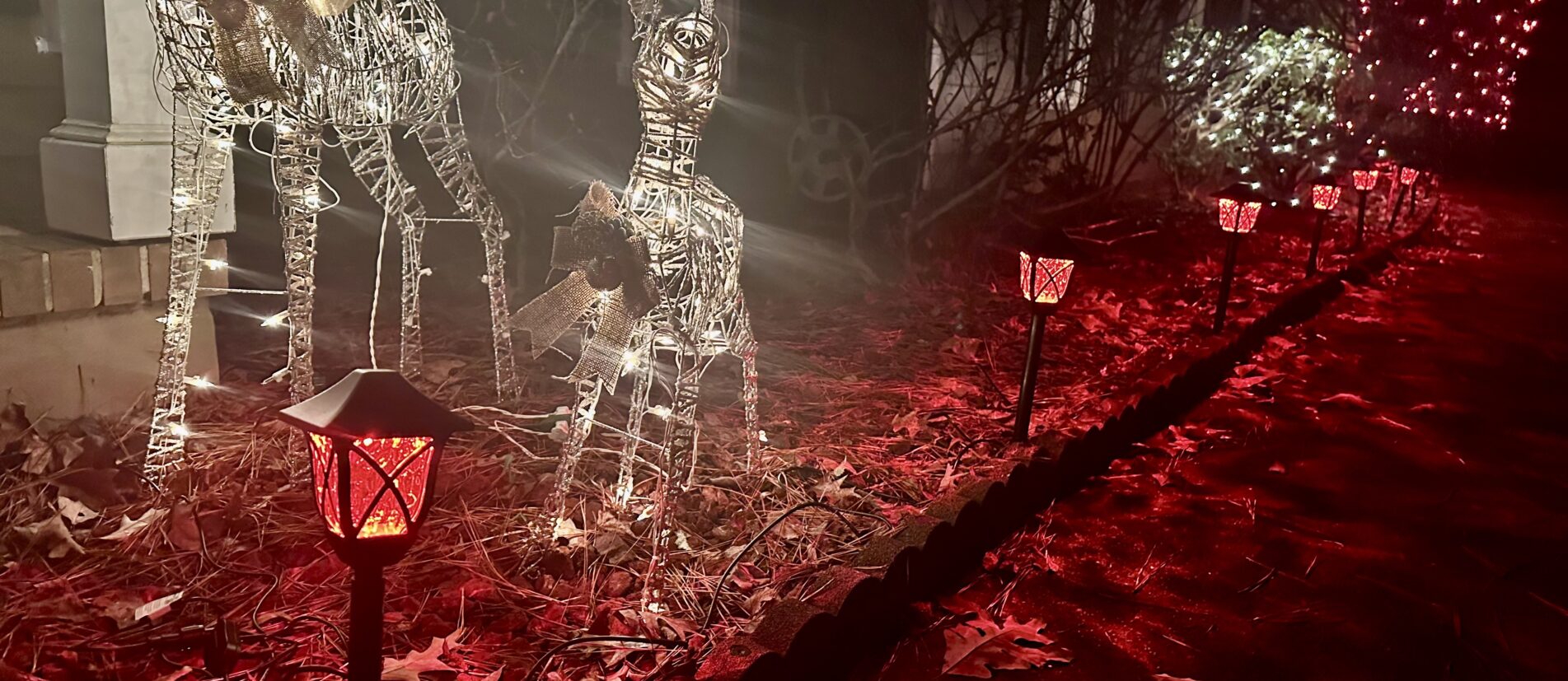 RGB pathway lights lining sidewalk entrance decorated for the Christmas season